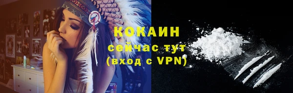 прущие крисы Белокуриха