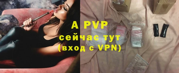 прущие крисы Белокуриха