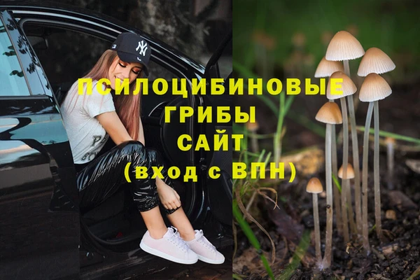 прущие крисы Белокуриха