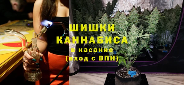 прущие крисы Белокуриха