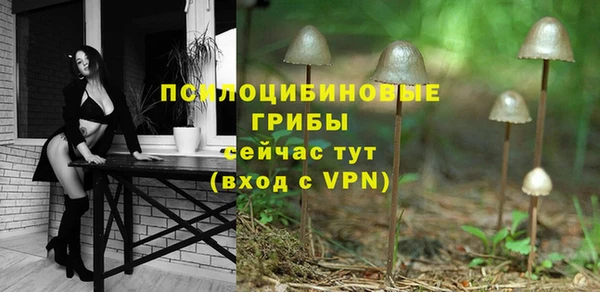 прущие крисы Белокуриха