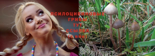 прущие крисы Белокуриха