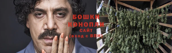 прущие крисы Белокуриха