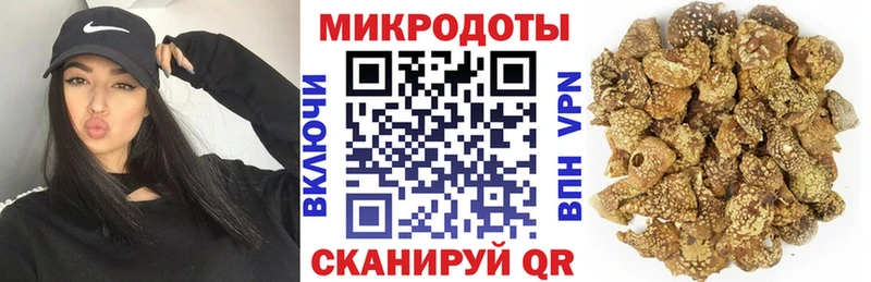 Галлюциногенные грибы Psilocybine cubensis  где купить   сайты даркнета какой сайт  Велиж 